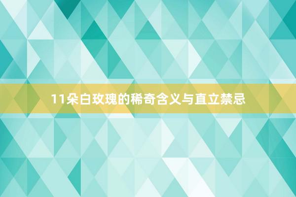 11朵白玫瑰的稀奇含义与直立禁忌