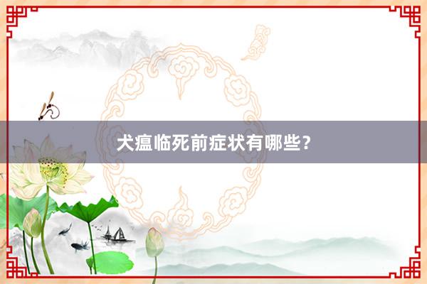 犬瘟临死前症状有哪些？