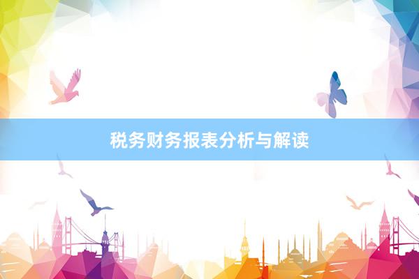 税务财务报表分析与解读